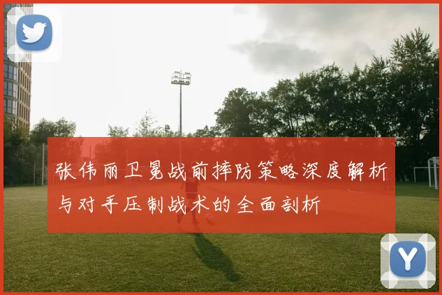 张伟丽卫冕战前摔防策略深度解析与对手压制战术的全面剖析