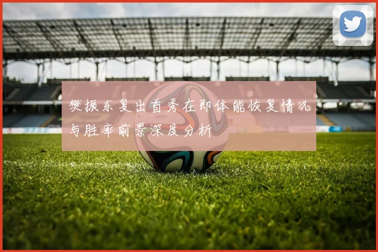 樊振东复出首秀在即体能恢复情况与胜率前景深度分析